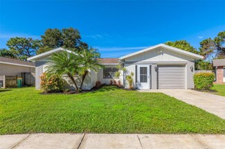 2059 Eagle Run Ct, Clearwater, FL 33760