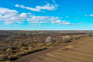 +/-21.5 Acres County Road M, Rib Lake, WI 54470