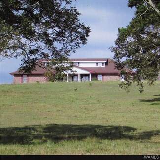 1041 County Highway 63, Winfield, AL 35594