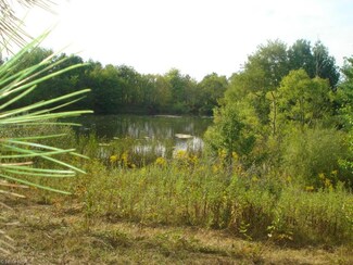 0 Baum St SE Unit 3742674, Canton, OH 44707