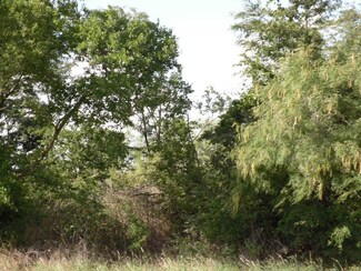 TBD State Highway 171, Coolidge, TX 76635