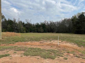 Lot 16 Hunters Hollow Dr, Mount Vernon, TX 75457