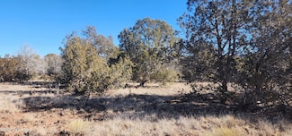 2113 W Skyline Dr, Ash Fork, AZ 86320