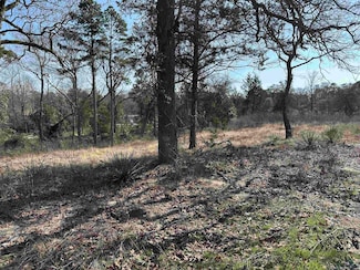 TBD Pine Ct, Big Sandy, TX 75755