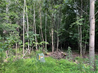 0 954th St, Colfax, WI 54730