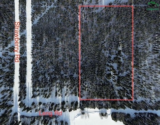 L7 Leng Rd, Deltana, AK 99737