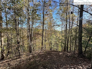 Lot 2 Boulder Ridge Dr, Boone, NC 28607