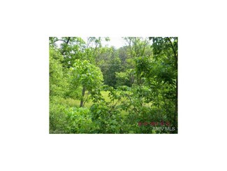 1779 Woodyard Creek Rd, Washington, WV 26181