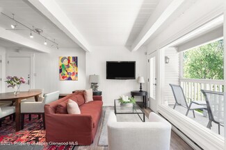 916 E Hopkins Ave Unit 204, Aspen, CO 81611