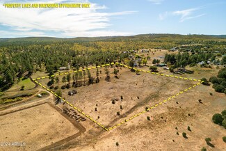 5502 Road To the Past --, Pinedale, AZ 85934