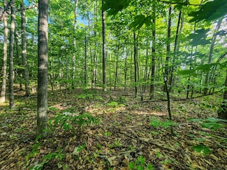14209 Straitsview Dr, Cheboygan, MI 49721