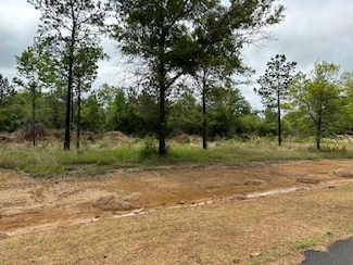 Nhn Bent Creek Lot 21, Picayune, MS 39466