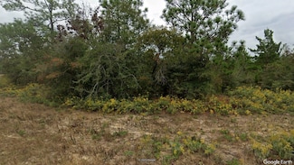 Lot 5 Coble Place, Chipley, FL 32428