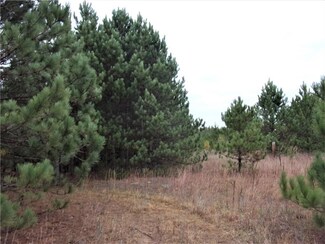 0 Lhotka Rd Unit 1531477, Webster, WI 54893