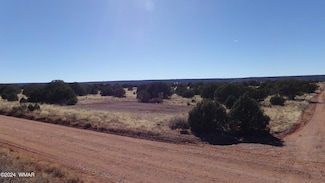 4500 Mountain View Rd, Snowflake, AZ 85937