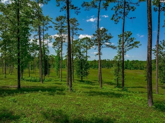 1626-06 Sumter Hwy, Rembert, SC 29128