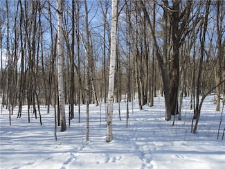 LOT #88 Maple Terrace Dr, Edgewater, WI 54817