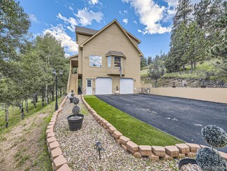 646 Sleepy Hollow Dr, Bailey, CO 80421