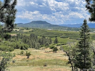 2938 Wolfensberger Rd, Sedalia, CO 80135