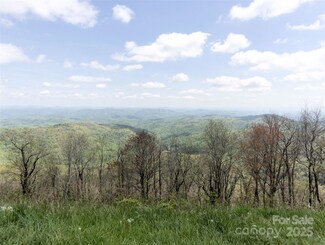0000 Wildcat Rd, Deep Gap, NC 28618