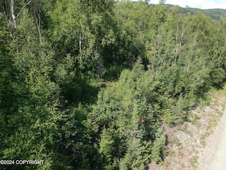 17643 E Castle Rock Ln, Palmer, AK 99645
