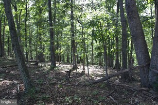 10 ACRES OFF Pack Horse Rd, Winchester, VA 22603