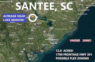 0 Hwy 301 Unit 25014880, Santee, SC 29142