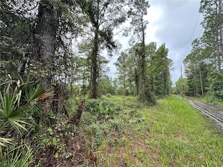 TBD NE 155th St, Fort Mc Coy, FL 32134