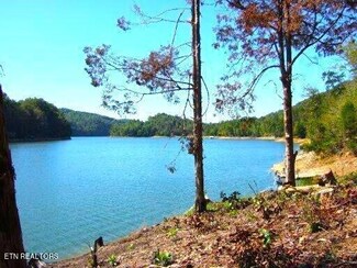 0 Mountain Shores Lot 48 Rd, New Tazewell, TN 37825