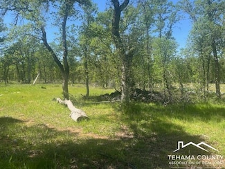 0000 Two Feathers, Cottonwood, CA 96022