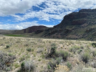 Lot 1 River's Edge Rd, Challis, ID 83226