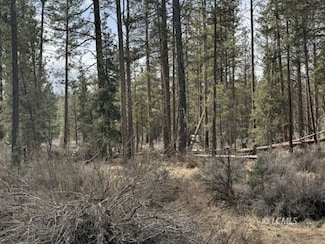 0 Bufflehead Dr Unit 3007515, Bonanza, OR 97623