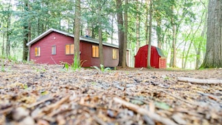 17341 Old Logging Rd, Hersey, MI 49639