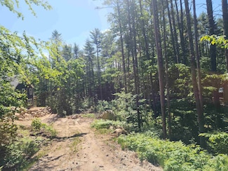 00 Tamarack Overlook, Conway, NH 03818