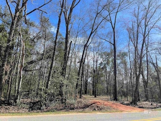 0 Rockhill Rd, Bay Minette, AL 36507