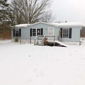 8969 S Wisner Ave, Newaygo, MI 49337
