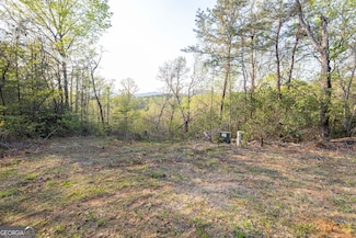 0 Mountain Lion Trail Unit LOT 40D 10512606, Sautee Nacoochee, GA 30571