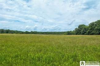 0 Stow Rd Unit R1619715, Ashville, NY 14710