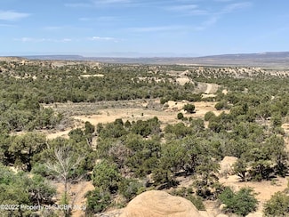 XYZ Road 1354, La Plata, NM 87418