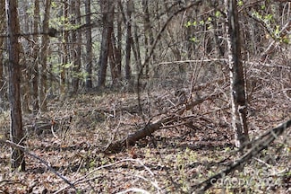 Lot 30 Laurel Valley Dr, Marion, NC 28752