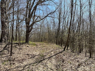 XXXX Holly Trail, Arthur Township, MN 56358