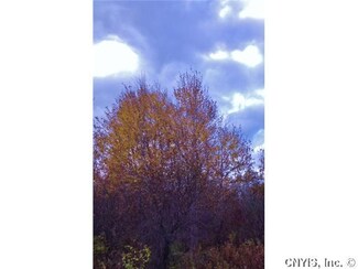 000 Hardscrabble Rd, Cazenovia, NY 13035