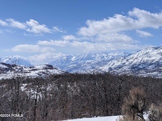 1392 E Sunset View Ct, Kamas, UT 84036