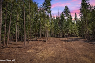 NKA Wandering Wolf Ridge Lot 3, Clark Fork, ID 83811