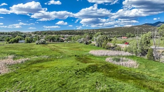 TBD New Mexico 522, Arroyo Hondo, NM 87513
