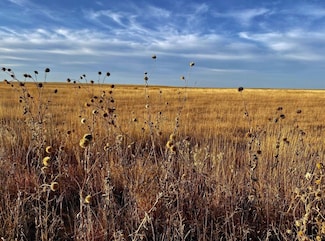 0 Tbd County Rd W, Eads, CO 81036