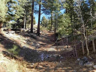 00 Aspen Rd Unit 5, June Lake, CA 93529