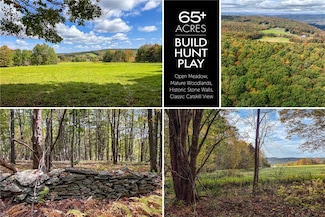2359 Jackson Hill Rd, Treadwell, NY 13846