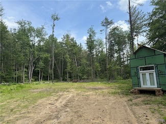 5525 Pine Wood Dr, Brantingham, NY 13312