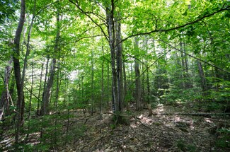 Map3 Lot8 Route 188, Lowell, ME 04493